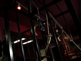 Curvaceous wild bondage & discipline cougar Fetish hook-up