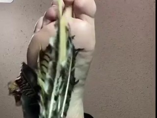 Feathers // Ticklish soles